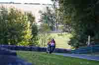 Middle Group White Bikes